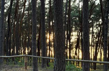 Hevenia Apartament 14 Nadmorski Wiatr- Mrzeżyno - Foto 29