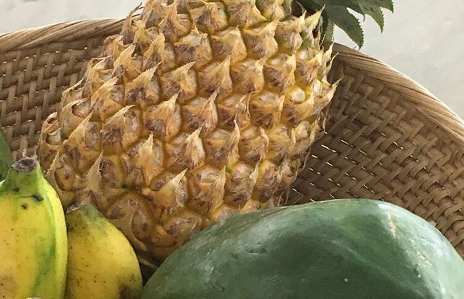 Silence Garden - Foto 30