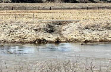 Penthouse Suite at Meadow View! - Foto 18