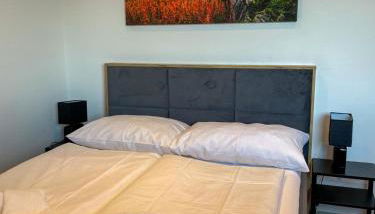 MaMa-Apartments - Haus Martina im Herzen der Rhön - 3 einzelbuchbare moderne Wohnungen für 2-8 Personen, Terrasse, Balkon, Garten, Ski und E-Bike Keller, Lounge, freies Wlan, familienfreundlich - Foto 4