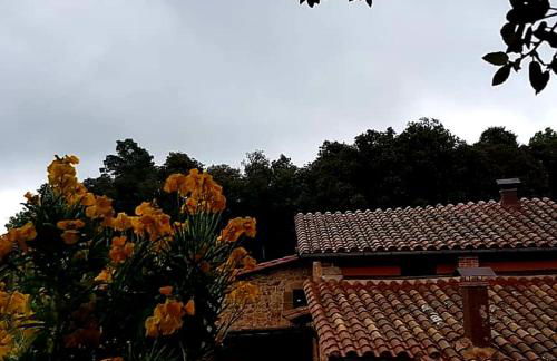 Mas Cal Sastre - Foto 32