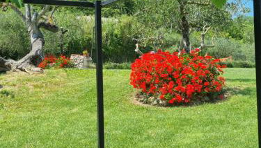 Agriturismo La Casa dei Ricordi - Foto 2