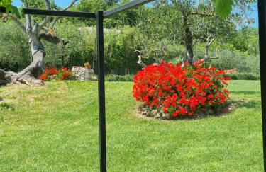 Agriturismo La Casa dei Ricordi - Foto 2