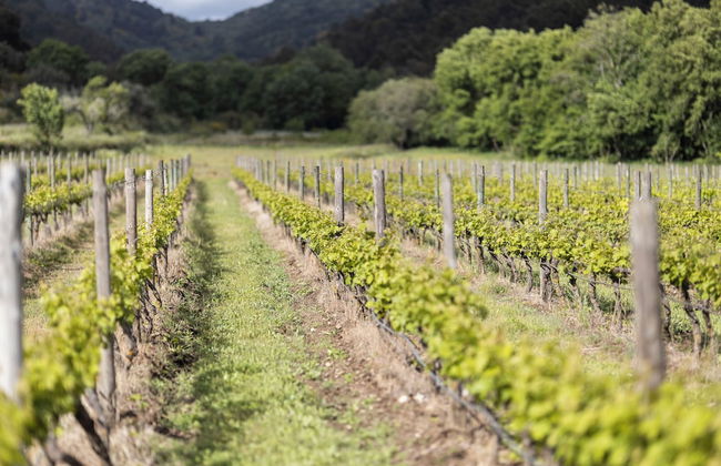 Casa Grande do Seixo - Photo 53