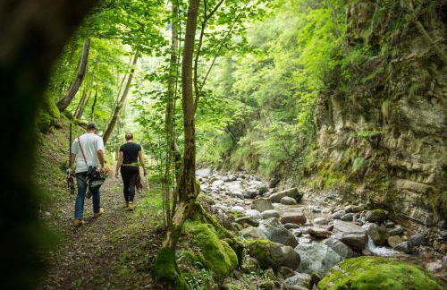 Quader nidi nel verde - Foto 82