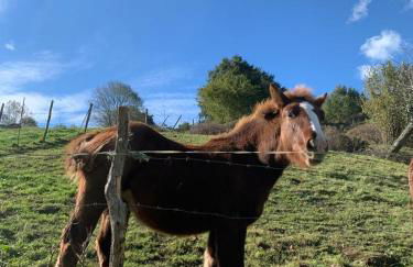 La Antigua Cuadra es un alojamiento de piedra y altos techos de madera con mucho encanto, jardín privado con barbacoa y acceso al río Asón - Foto 30