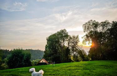 GoodMood Bieszczady - ogrzewany domek całoroczny - Foto 40