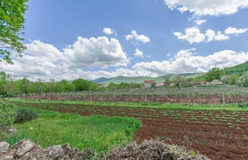 House Mali Dvori - Foto 22