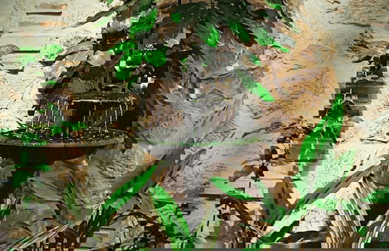 La Isabela Suites - Photo 63