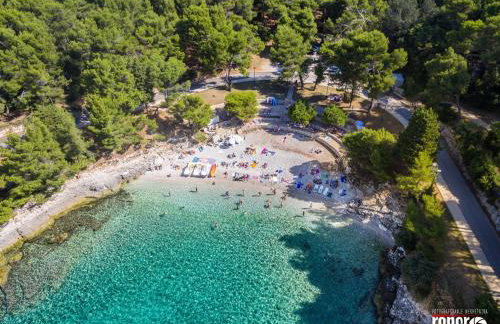 Apt Stoja Beach - 50m from the sea !! - Photo 33