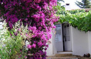 Las Navezuelas - Photo 48