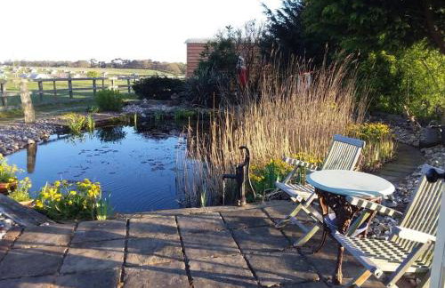 Lily Pad, Friston - Foto 18