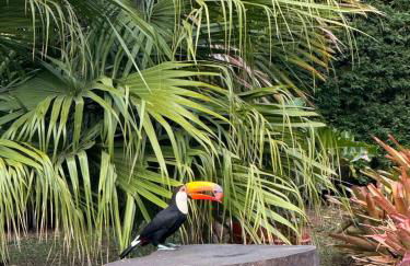 Lindo sítio próximo a Terra dos Dinos! - Foto 23