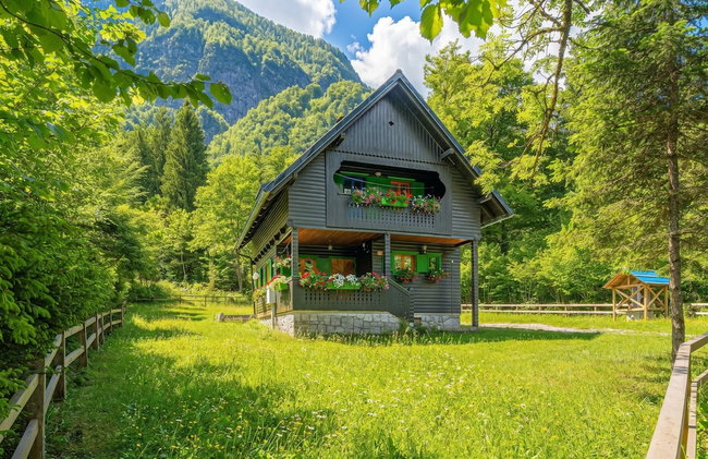 Alpine Chalet Metka at Lake Bohinj - Foto 28
