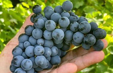 Welcome to Casa Fitz with Ocean Views and Air Conditioning - Photo 30