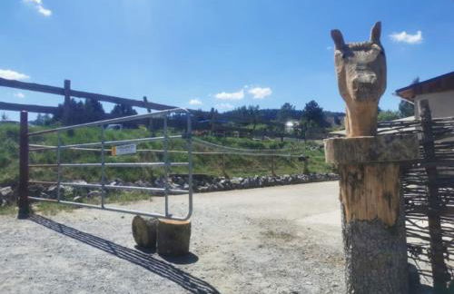 Gutshof Schirgiswalde - Foto 8