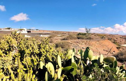Apartment Alegranza in the beautiful Village of Mozaga, Lanzarote - Foto 65