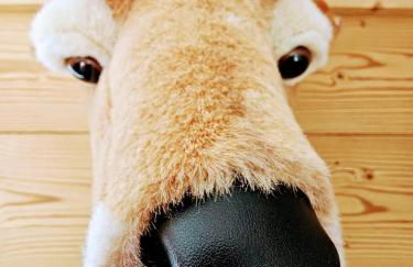 Magnifique appartement à la montagne classé 4 étoiles - Foto 7