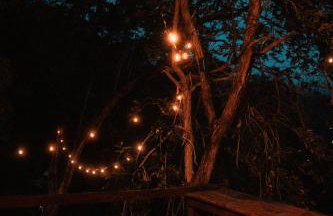 Chalé Espetacular I Barra de Guaratiba - Foto 25