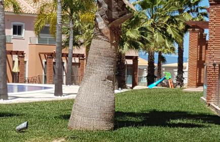 Villa Jardins 3 by Sunny Deluxe - Foto 39