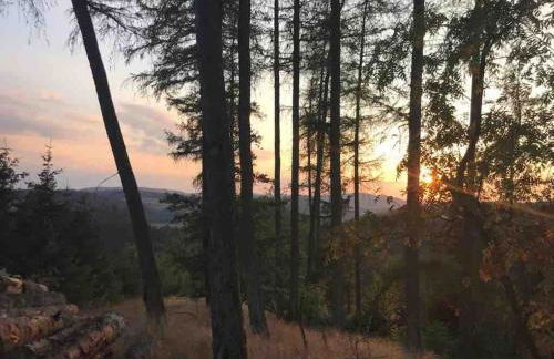 Fachwerkhaus im Sauerland - Goldhase Anno 1700 - Foto 60