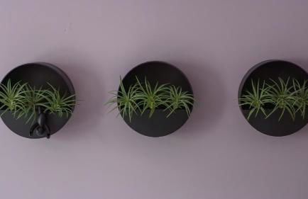 Chic Farmhouse Woodstock Saugerties Skiing HITS - Photo 8