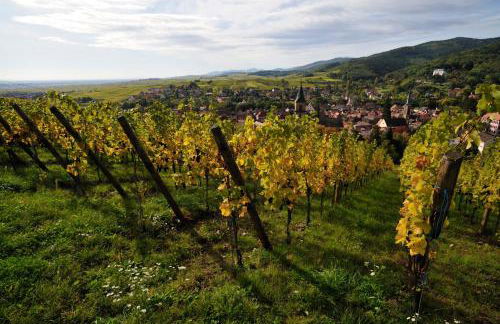 The One Apartments - Foto 27