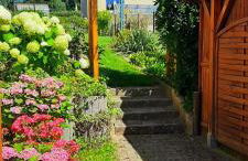 Zum Winzer - Foto 22