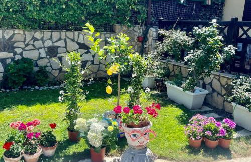 Villa Eco-Chic - Foto 8