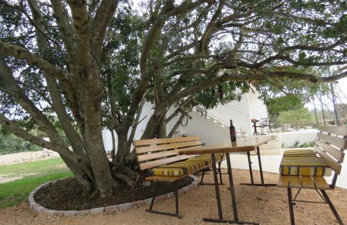 Hvar Mediterranean Ranch House - Foto 78