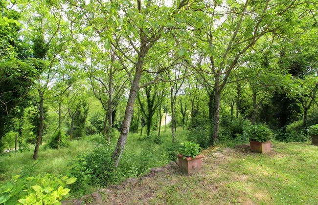 Casa Ciabatti - Photo 20