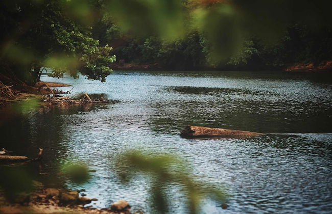 Muletown Haven Stunning Downtown Escape! - Foto 21