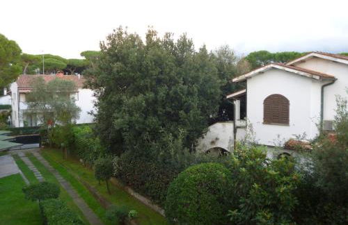 il geranio - Foto 41