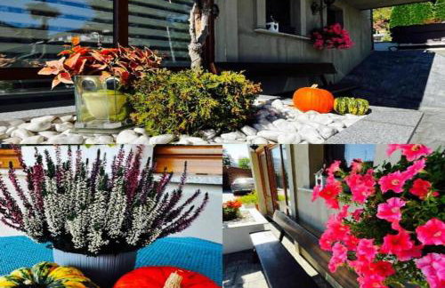 Skałkowy Kąt - Foto 19