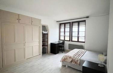 ô Bogros - vieux Château-Chinon - Foto 8