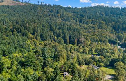 Issaquah Forest Escape on Tiger Mountain - Foto 41