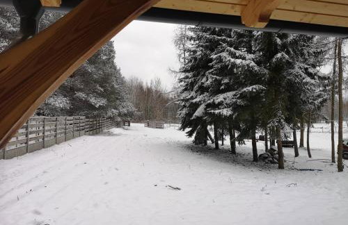 Agroturystyka PLENER - Foto 43