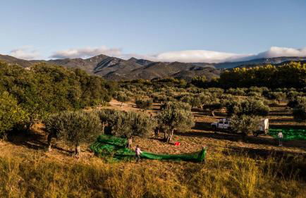 Casa de diseño con gran terraza - Foto 36