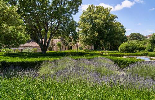 Solar de Vilar Seco - Foto 70