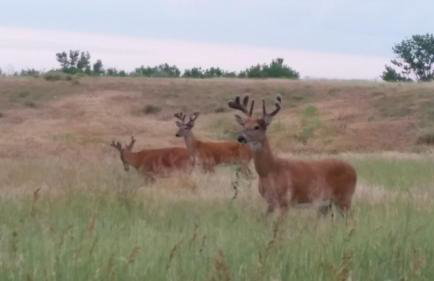 The Cozy nest - Foto 4