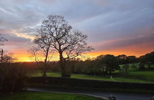 The Breckland at Sugar Lane Farm - Foto 41