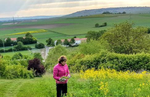 Ferienhaus Am Schildberg - Foto 26