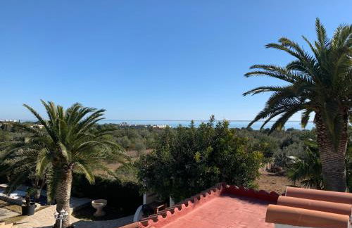 Villa Evisa - Foto 80