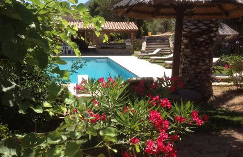 Villa A Scopa à Lumio en Corse avec piscine chauffée, vue mer panoramique, climatisation, jardin arboré de 3000m2, 10 pers, 5 Chb, 4 Sdb - Foto 1