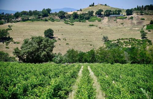 Tenuta Santa Cristina - Foto 48