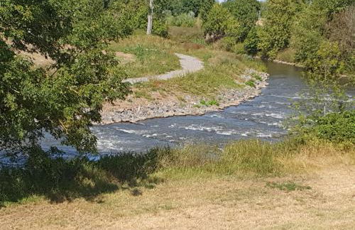 Erftmündung - Foto 20