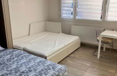 STUDIO 50m de gare de st-louis - Photo 6