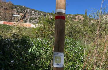 Casa Rural las Rosas de Benaojan - Photo 60