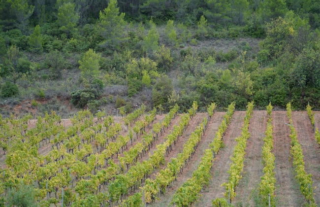 Beautiful Holiday Home With Fireplace - Foto 53