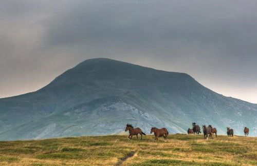 Comfortable Chalet in Giarola with Mountain View - Foto 29